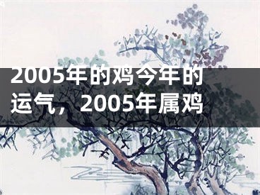 2005年的鸡今年的运气,2005年属鸡