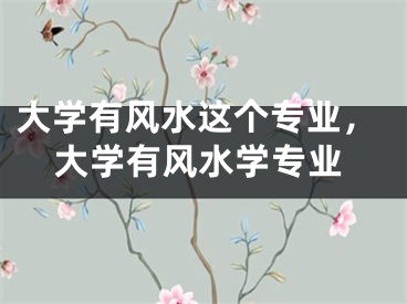 大学有风水这个专业,大学有风水学专业