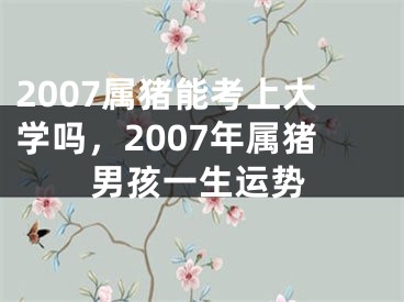 2007属猪能考上大学吗,2007年属猪男孩一生运势