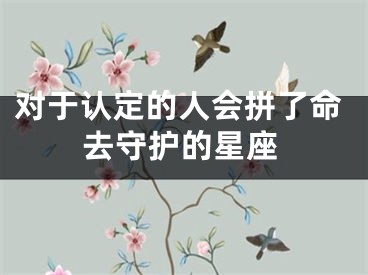 对于认定的人会拼了命去守护的星座