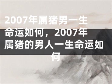 2007年属猪男一生命运如何，2007年属猪的男人一生命运如何