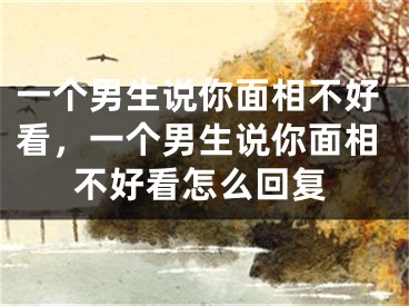 一个男生说你面相不好看，一个男生说你面相不好看怎么回复