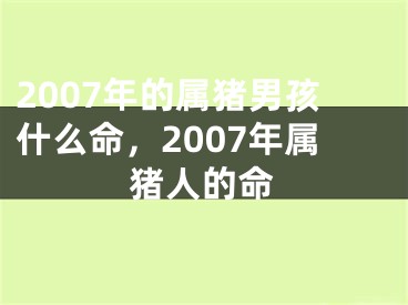 2007年的属猪男孩什么命,2007年属猪人的命