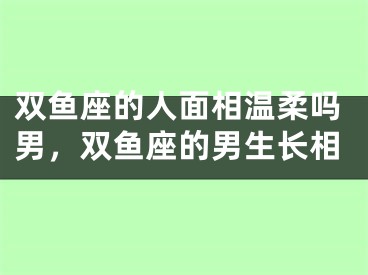 双鱼座的人面相温柔吗男,双鱼座的男生长相