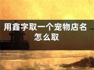 用鑫字取一个宠物店名怎么取