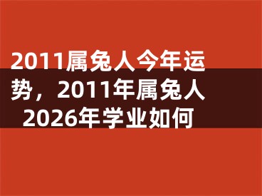 2011属兔人今年运势,2011年属兔人2026年学业如何