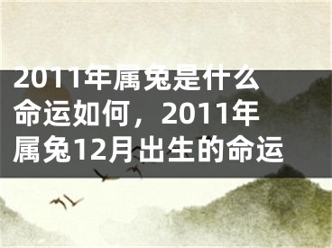 2011年属兔是什么命运如何,2011年属兔12月出生的命运