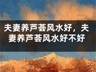 夫妻养芦荟风水好，夫妻养芦荟风水好不好