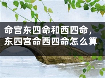 命宫东四命和西四命,东四宫命西四命怎么算