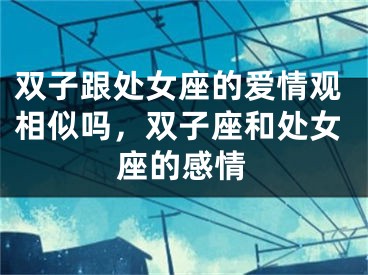 双子跟处女座的爱情观相似吗，双子座和处女座的感情