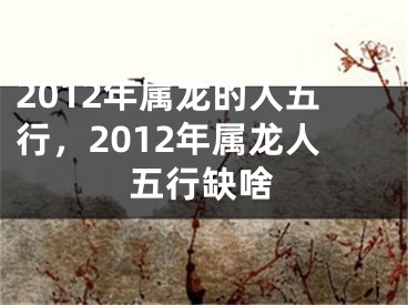 2012年属龙的人五行,2012年属龙人五行缺啥