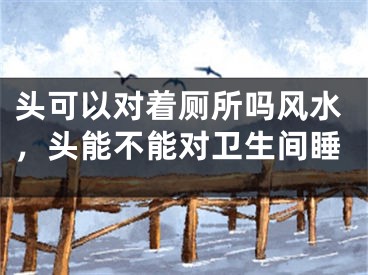 头可以对着厕所吗风水，头能不能对卫生间睡