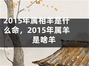 2015年属相羊是什么命,2015年属羊是啥羊