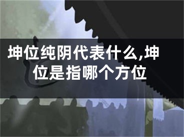 坤位纯阴代表什么,坤位是指哪个方位