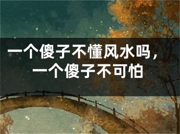 一个傻子不懂风水吗，一个傻子不可怕