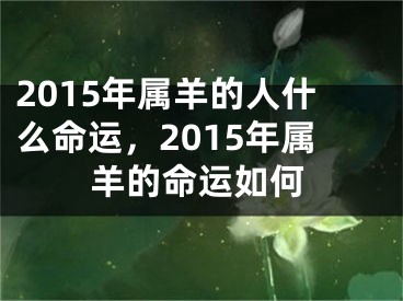 2015年属羊的人什么命运，2015年属羊的命运如何