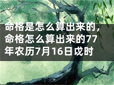 命格是怎么算出来的，命格怎么算出来的77年农历7月16日戉时