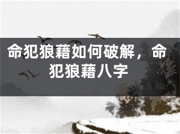 命犯狼藉如何破解，命犯狼藉八字