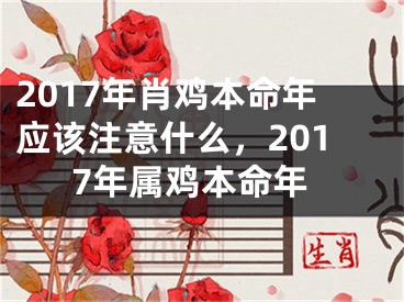 2017年肖鸡本命年应该注意什么,2017年属鸡本命年
