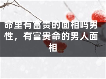 命里有富贵的面相吗男性,有富贵命的男人面相