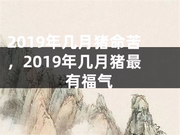 2019年几月猪命苦,2019年几月猪最有福气