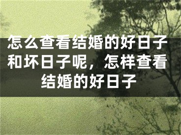 怎么查看结婚的好日子和坏日子呢,怎样查看结婚的好日子