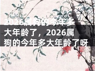 2026属狗的今年多大年龄了,2026属狗的今年多大年龄了呀