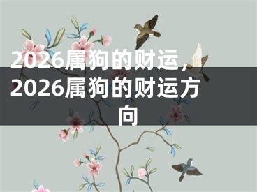 2026属狗的财运,2026属狗的财运方向