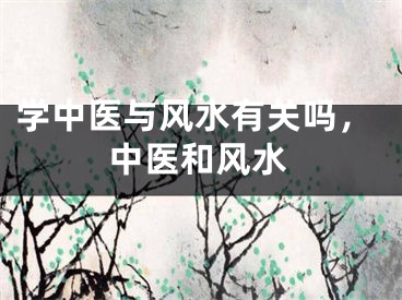学中医与风水有关吗,中医和风水