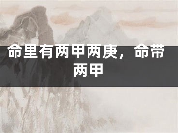 命里有两甲两庚，命带两甲