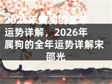 2026年属狗的全年运势详解,2026年属狗的全年运势详解宋邵光