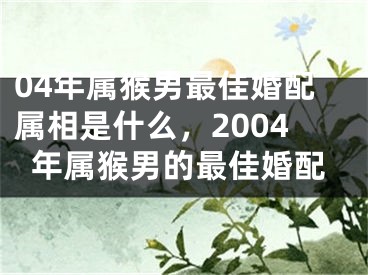 04年属猴男最佳婚配属相是什么,2004年属猴男的最佳婚配