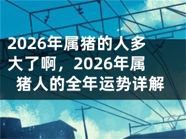 2026年属猪的人多大了啊,2026年属猪人的全年运势详解