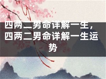 四两二男命详解一生,四两二男命详解一生运势