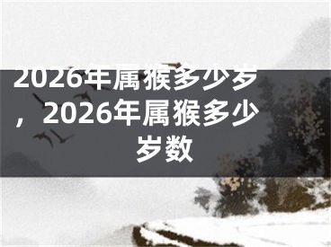 2026年属猴多少岁，2026年属猴多少岁数