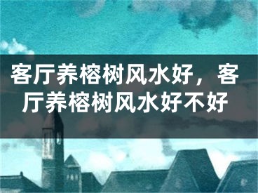 客厅养榕树风水好，客厅养榕树风水好不好