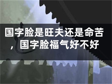国字脸是旺夫还是命苦，国字脸福气好不好
