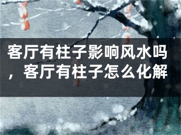 客厅有柱子影响风水吗,客厅有柱子怎么化解