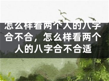 怎么样看两个人的八字合不合,怎么样看两个人的八字合不合适