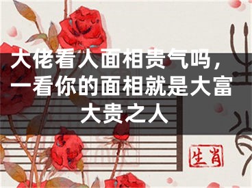 大佬看人面相贵气吗，一看你的面相就是大富大贵之人