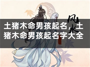 土猪木命男孩起名,土猪木命男孩起名字大全