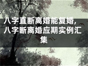 八字直断离婚能复婚,八字断离婚应期实例汇集