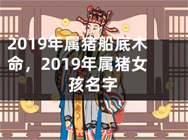 2019年属猪船底木命,2019年属猪女孩名字