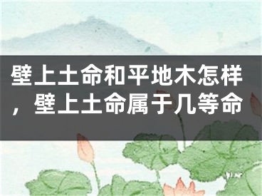 壁上土命和平地木怎样，壁上土命属于几等命