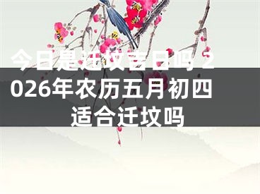 今日是迁坟吉日吗 2026年农历五月初四适合迁坟吗