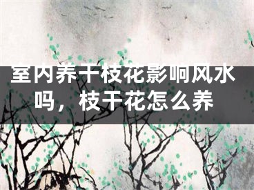 室内养干枝花影响风水吗,枝干花怎么养