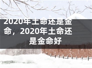 2020年土命还是金命,2020年土命还是金命好