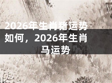 2026年生肖猪运势如何,2026年生肖马运势