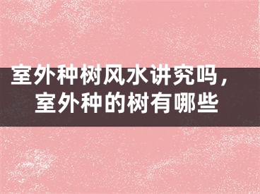室外种树风水讲究吗，室外种的树有哪些