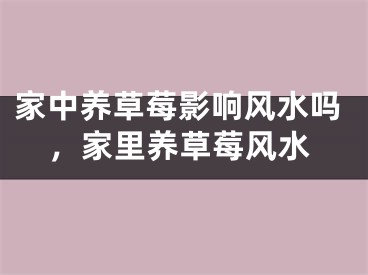 家中养草莓影响风水吗，家里养草莓风水